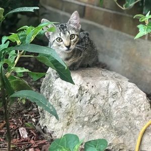 Meet your Posher, Brenda